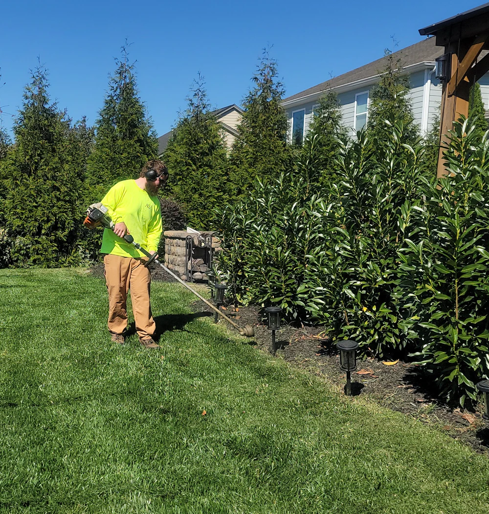 Two crew members mowing and trimming a green lawn